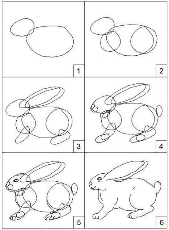 Как нарисовать кролика карандашом: легкие инструкции для начинающих и детей