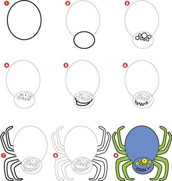 Как нарисовать паука поэтапно карандашом: топ лучших уроков и мастер-классов для начинающих от художника