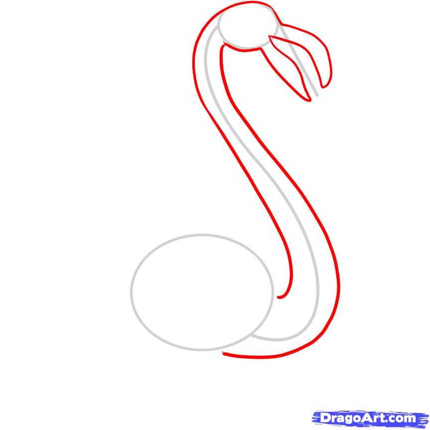 Как нарисовать фламинго карандашом поэтапно