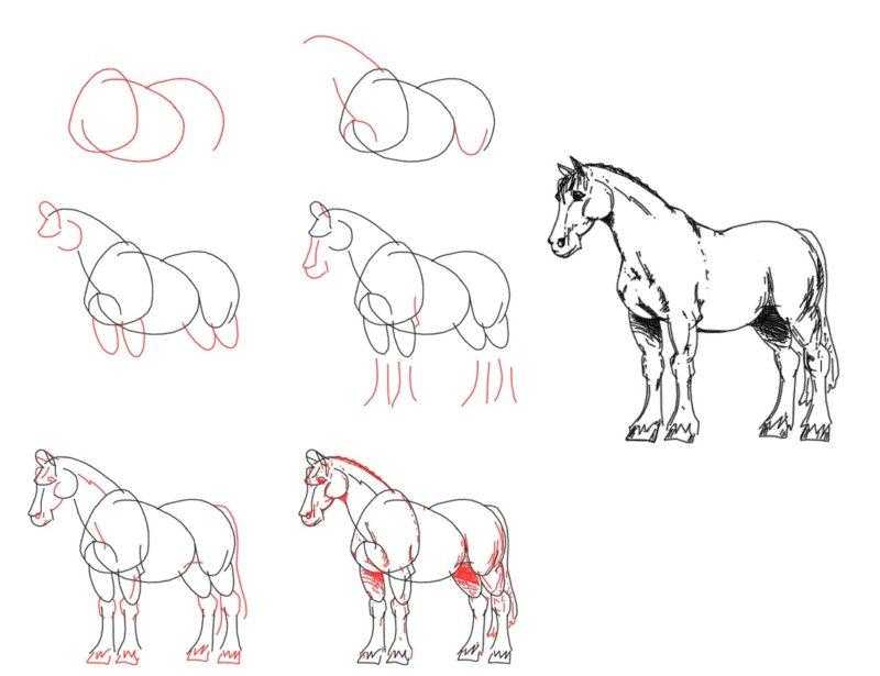 Как нарисовать настоящую лошадь карандашом поэтапно для начинающих и детей? как нарисовать красиво морду, гриву лошади, бегущую, стоящую лошадь, в прыжке?