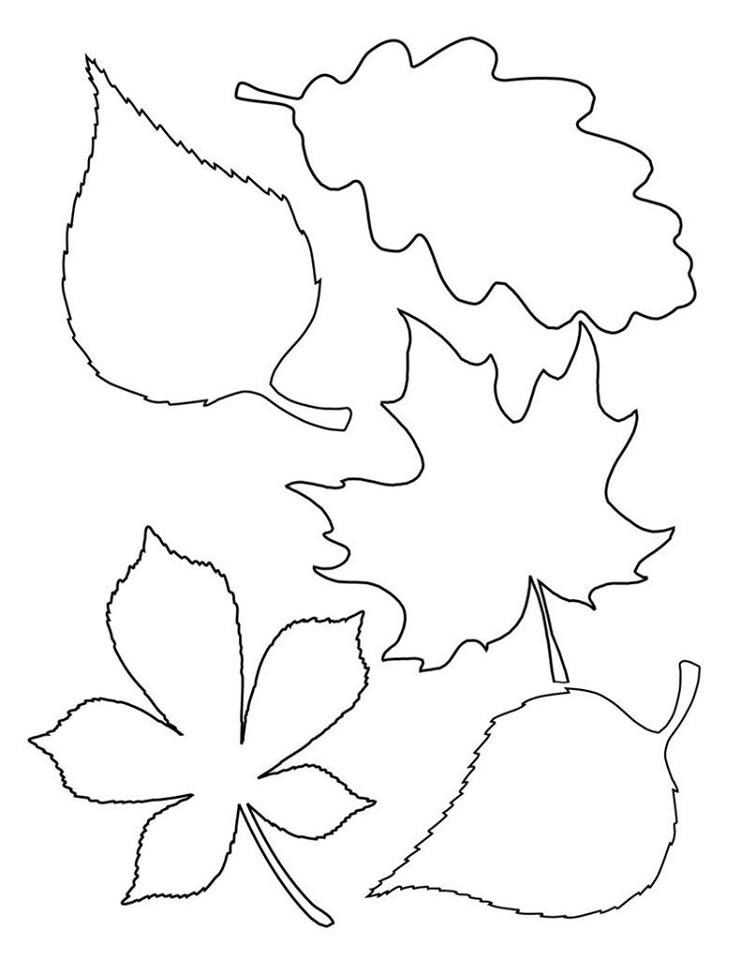 На этой странице я собрала самые красивые и четкие шаблоны с изображением осенних листьев Вы сможете из распечатать в хорошем качестве в крупном формате