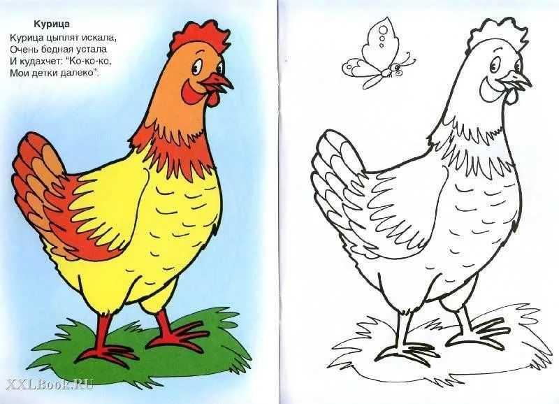 Как нарисовать цыплёнка поэтапно для детей — megamaster.info