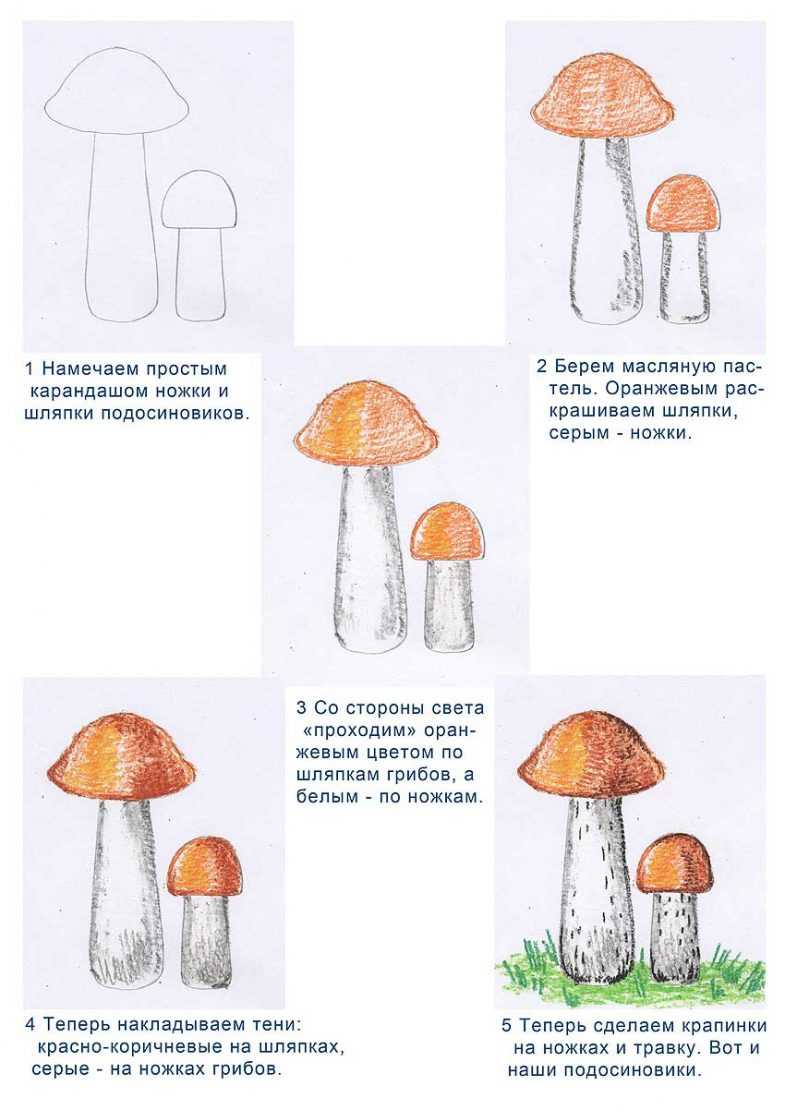 Как нарисовать грибы карандашом поэтапно для детей островок позитива