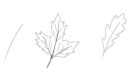 Как нарисовать листья: вариации цвета и композиций, описание хода работы и сборник мастер-классов