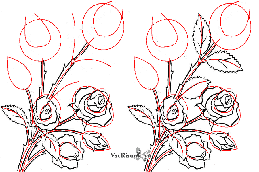 Как легко и красиво нарисовать растения поэтапно карандашом для начинающих