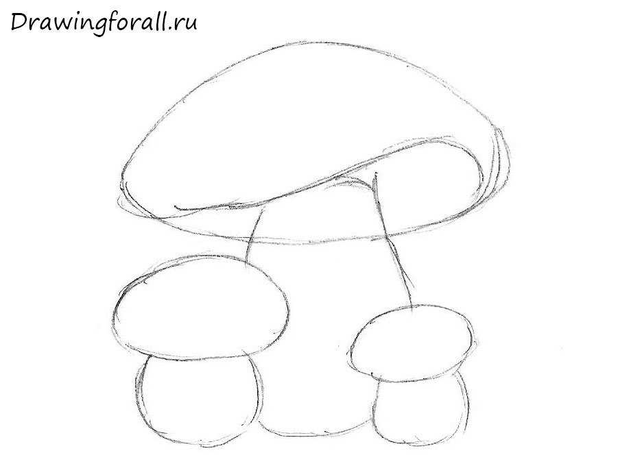 Как нарисовать грибы карандашом поэтапно для детей