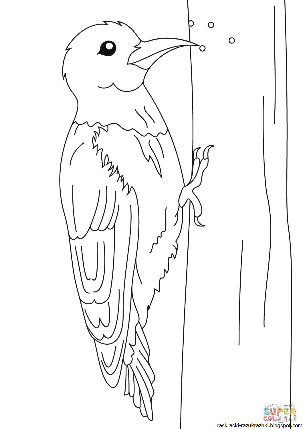 Как нарисовать птицу поэтапно карандашом. мастер-класс по нетрадиционному рисованию «дятел» для детей средней группы как раскрасить дятла цветными карандашами детям