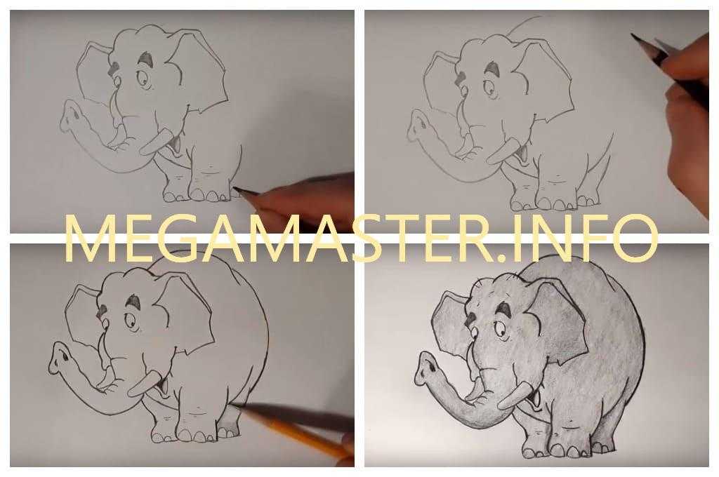 Как нарисовать слона поэтапно карандашом: простые варианты рисунка (67 фото)