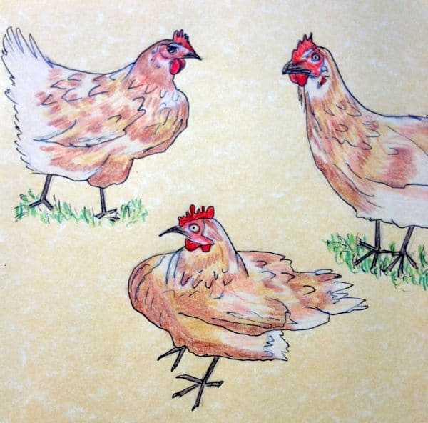 Как нарисовать пасхального цыпленка поэтапно 5 уроков