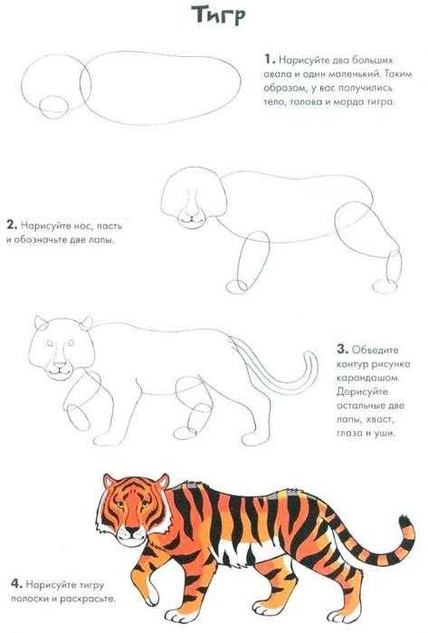 Как нарисовать для детей тигра поэтапно | кто?что?где?