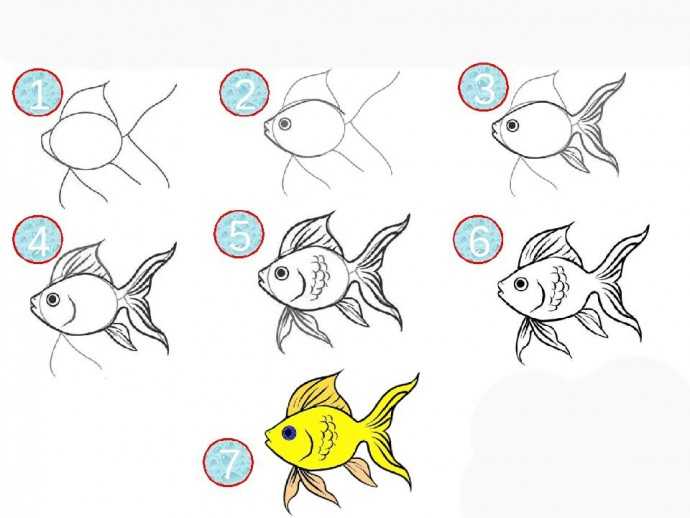 Как нарисовать рыбу карандашом