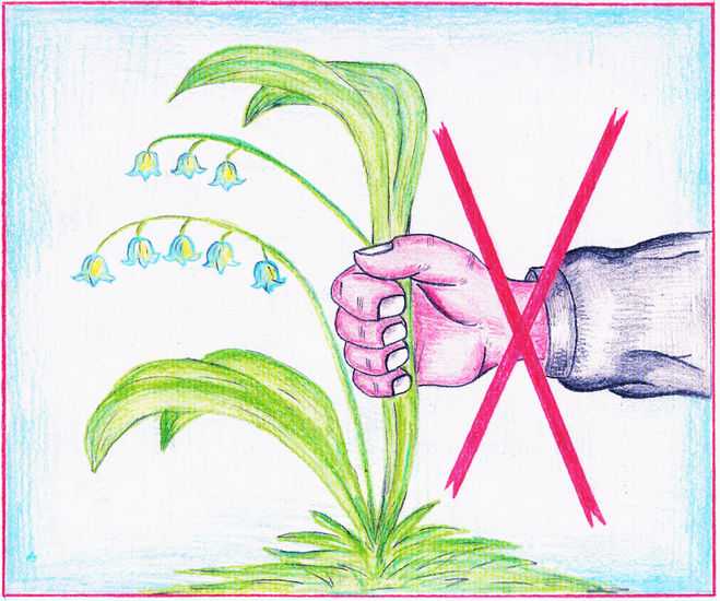 Плакат на тему защита растений