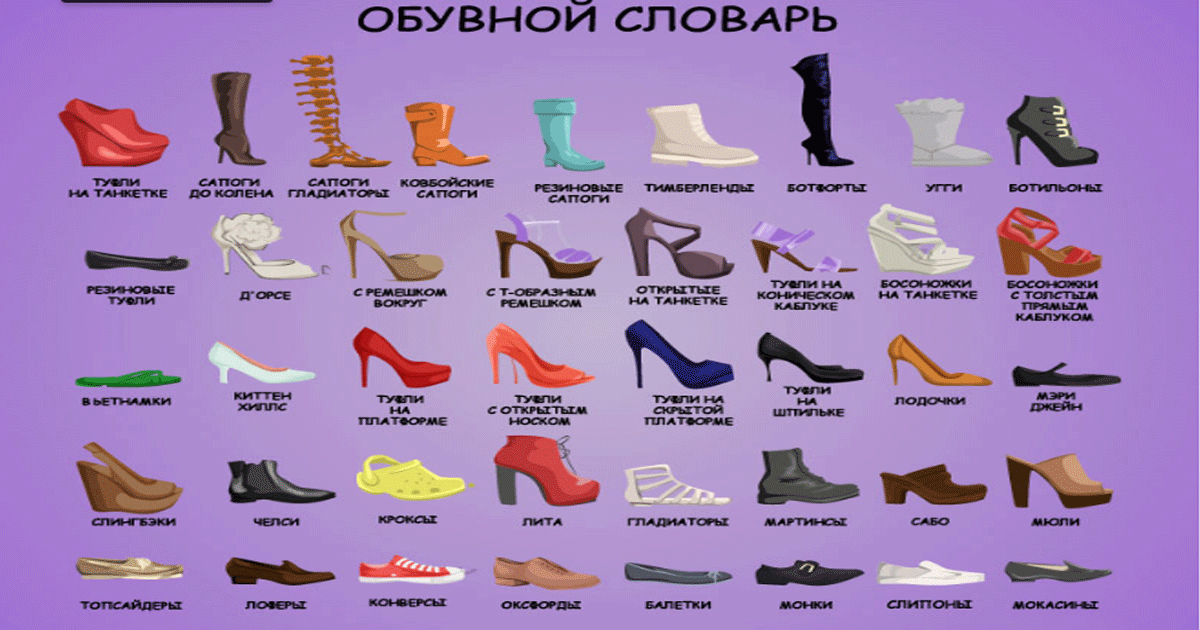 Разновидности женской обуви - названия и фото с каблуком и без него