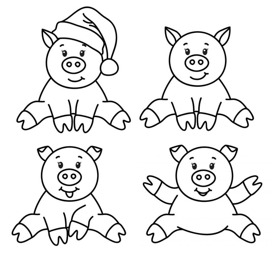 Картинка свинья раскраска для детей