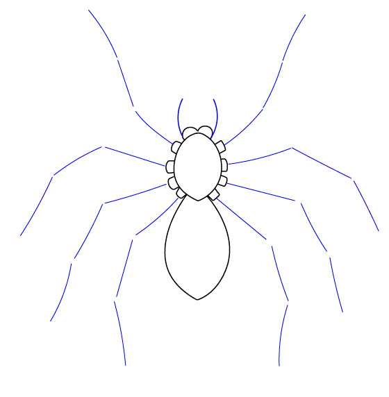Как нарисовать паука карандашом: поэтапно учимся рисовать насекомое. мастер-класс для детей от художников