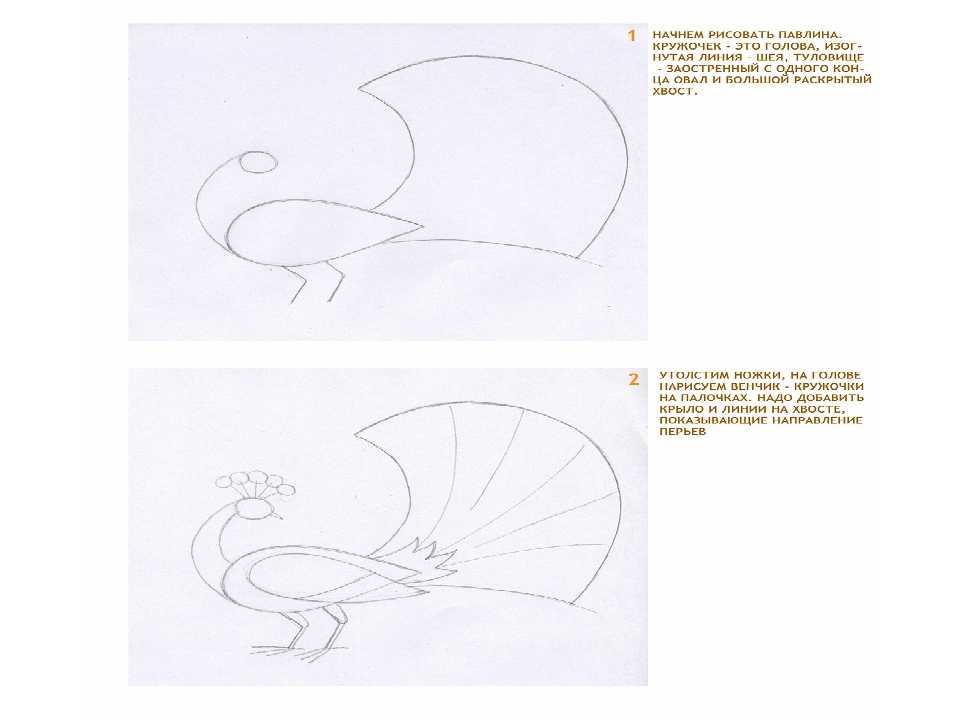 Как нарисовать паука карандашом: поэтапно учимся рисовать насекомое. мастер-класс для детей от художников