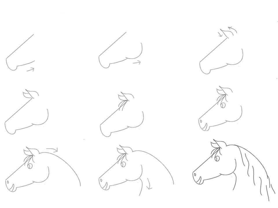 Как нарисовать лошадь поэтапно карандашом начинающим, фото и видео