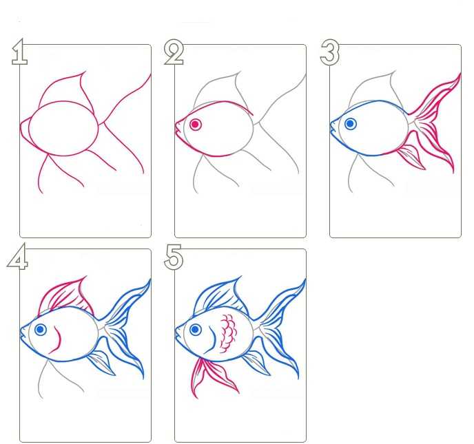 Как нарисовать рыбку: пошаговая техника рисования рыбки карандашом для начинающих (мастер-класс от художника)