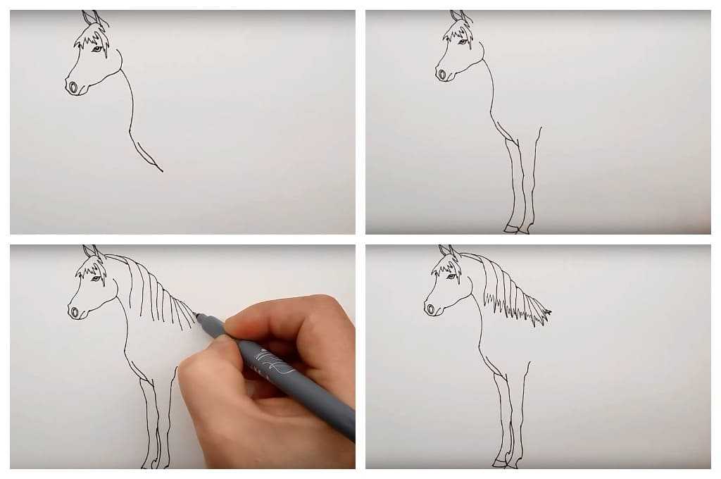 Как рисовать лошадь карандашом: 20 поэтапных уроков