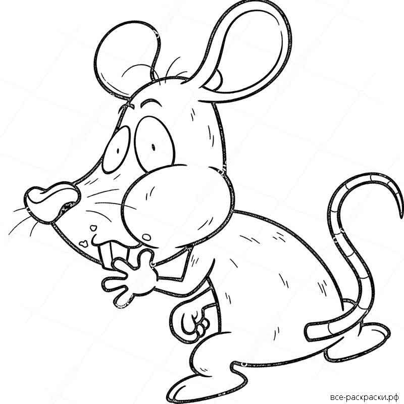 Как нарисовать карандашом крысу на новый год 2020. поэтапно рисуем символ 2020 года белая металлическая крыса