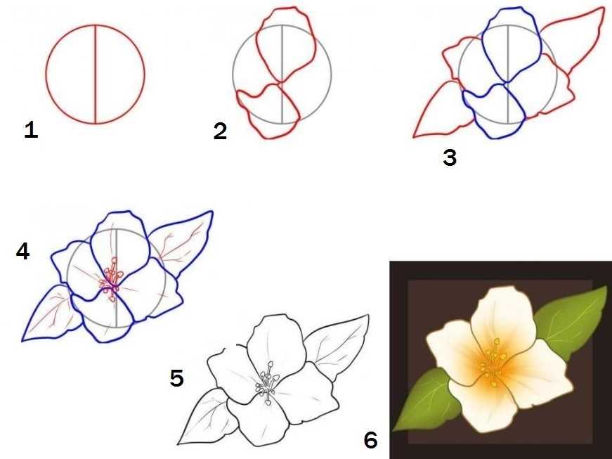 Как нарисовать цветок? 7 способов для новичка. рисунки карандашом для начинающих: цветы поэтапно