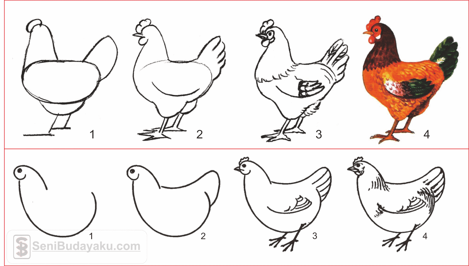 Поэтапное рисование курицы для детей