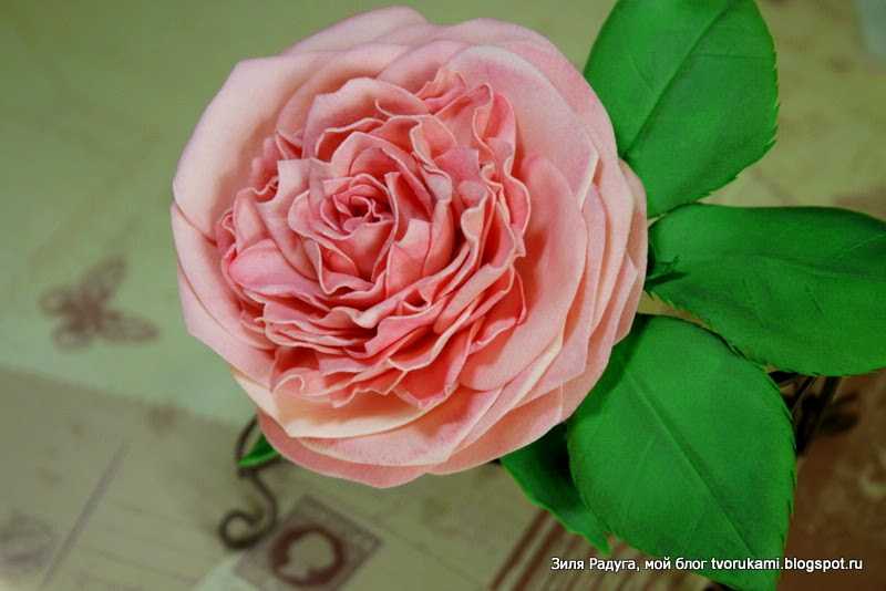 Бутон розы из фоамирана своими руками: фото и видео-подборка прилагается