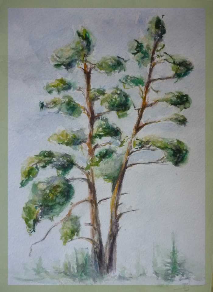 Как рисовать деревья