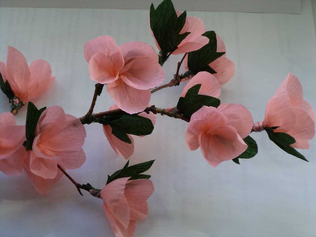 Цветы сакуры из гофрированной бумаги своими руками: фото и видео
