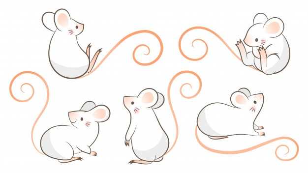 Как нарисовать карандашом крысу на новый год 2021. поэтапно рисуем символ 2021 года белая металлическая крыса