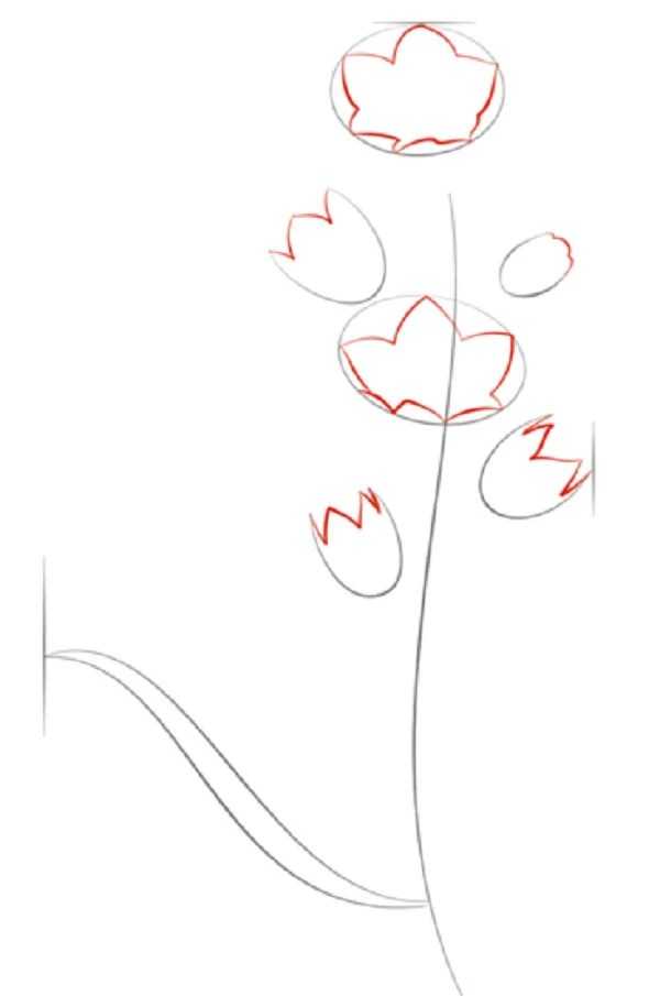 Как красиво нарисовать цветок колокольчик карандашом поэтапно для начинающих? рисунок колокольчика в вазе
