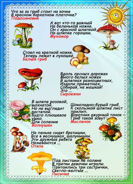 Раскраска грибы (44 картинки для детей).