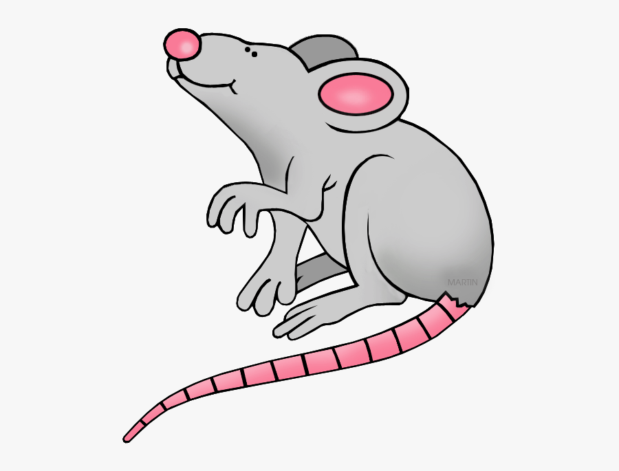 Крыса клипарт серая мышь - крыса клипарт - потрясающие бесплатные прозрачные png клипарт изображения скачать бесплатно