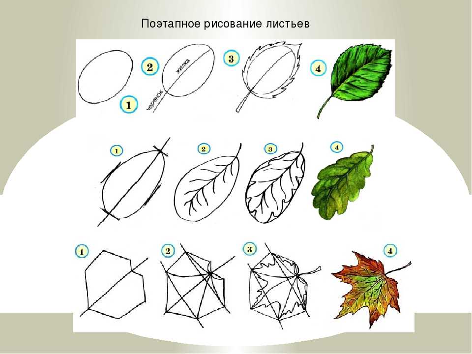 Как нарисовать листья - основные техники, мастер-классы, 40 фото идей с описанием