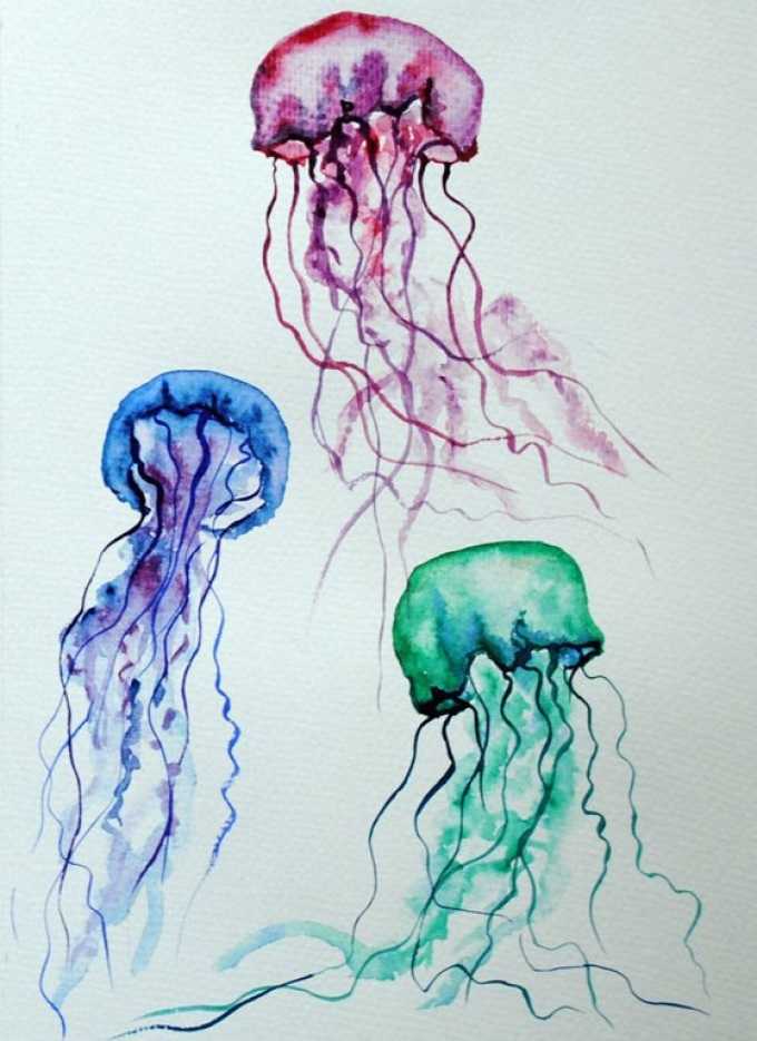 Как научиться рисовать медузу простым карандашом. как нарисовать медузу. как нарисовать голову медузы горгоны карандашом поэтапно