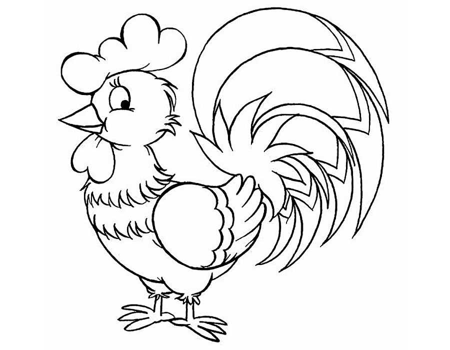 Раскраски курица | бесплатно распечатать, скачать картинки для детей