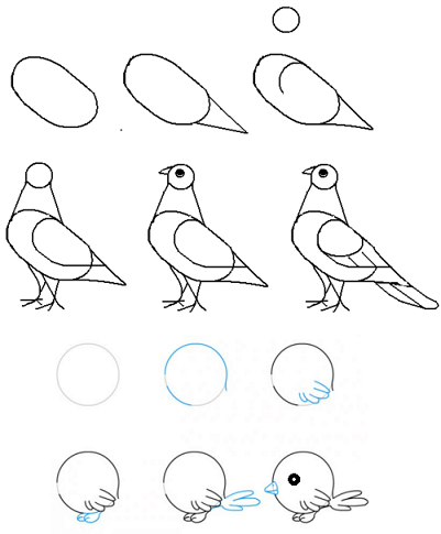 Как нарисовать голубя поэтапно легко и просто — карандашом