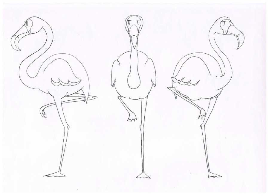 Как нарисовать фламинго карандашом. топ лучших вариантов для начинающих