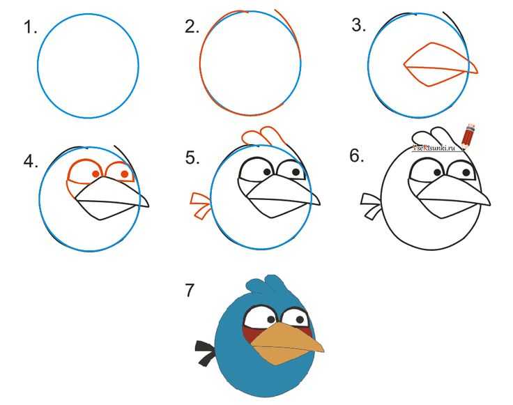 Как нарисовать птицу поэтапно карандашом - легкие мастер-классы для начинающих. как нарисовать птицу для детей