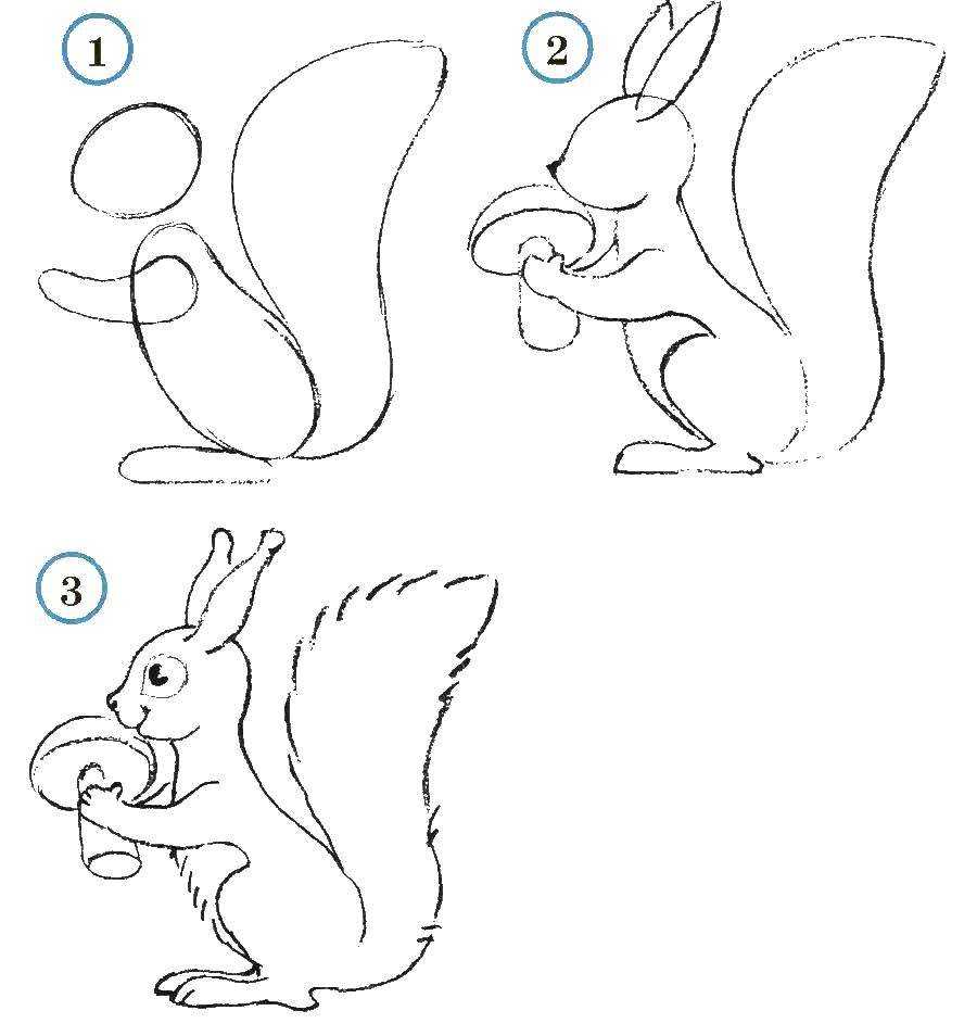 Как нарисовать лошадь поэтапно своими руками: простой способ для начинающих, пошаговая схема рисования