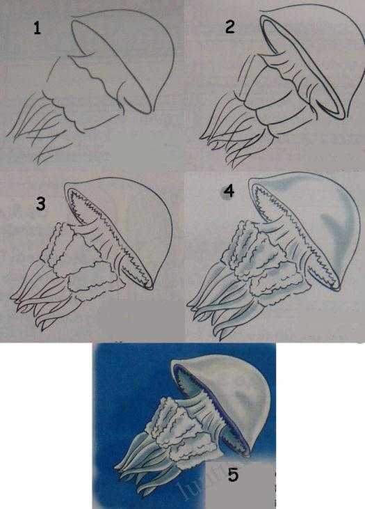 Нарисовать медузу горгону карандашом поэтапно