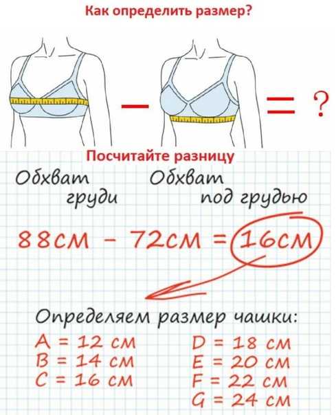 Размеры грудины у женщин таблица с фото размер 2