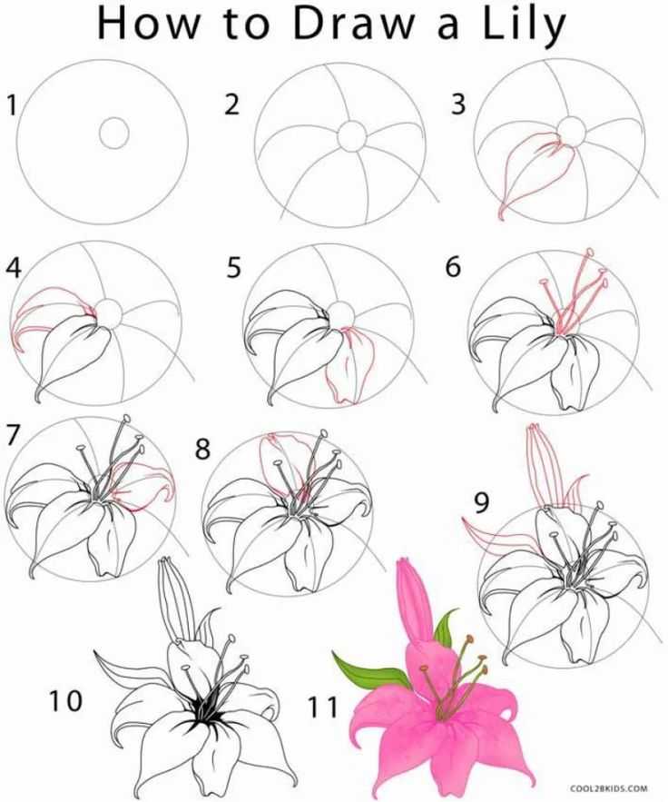 Как нарисовать цветок: способы и этапы создания красивых рисунков цветов для начинающих