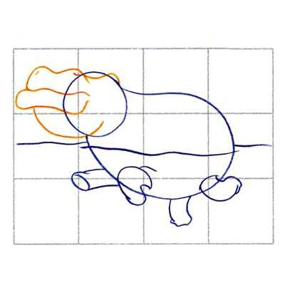 Нарисовать бегемота карандашом поэтапно для детей. как нарисовать бегемота карандашом поэтапно для детей. контуры ног бегемота