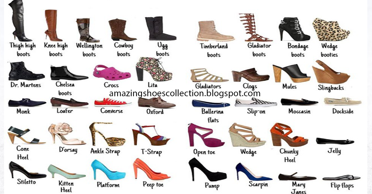 Виды обуви: женские модели с названиями, выбор по сезону, модные тенденции с фото