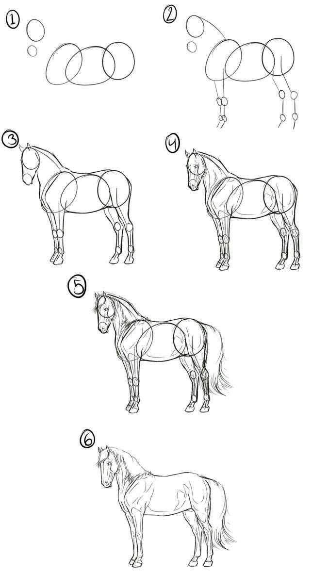 Как нарисовать лошадь - этапы как рисовать своими руками лошадей (130 фото и видео)