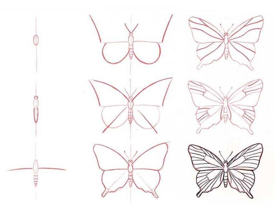 Как нарисовать бабочку пошагово карандашом: легкие способы создания красивого рисунка (инструкция для начинающих)