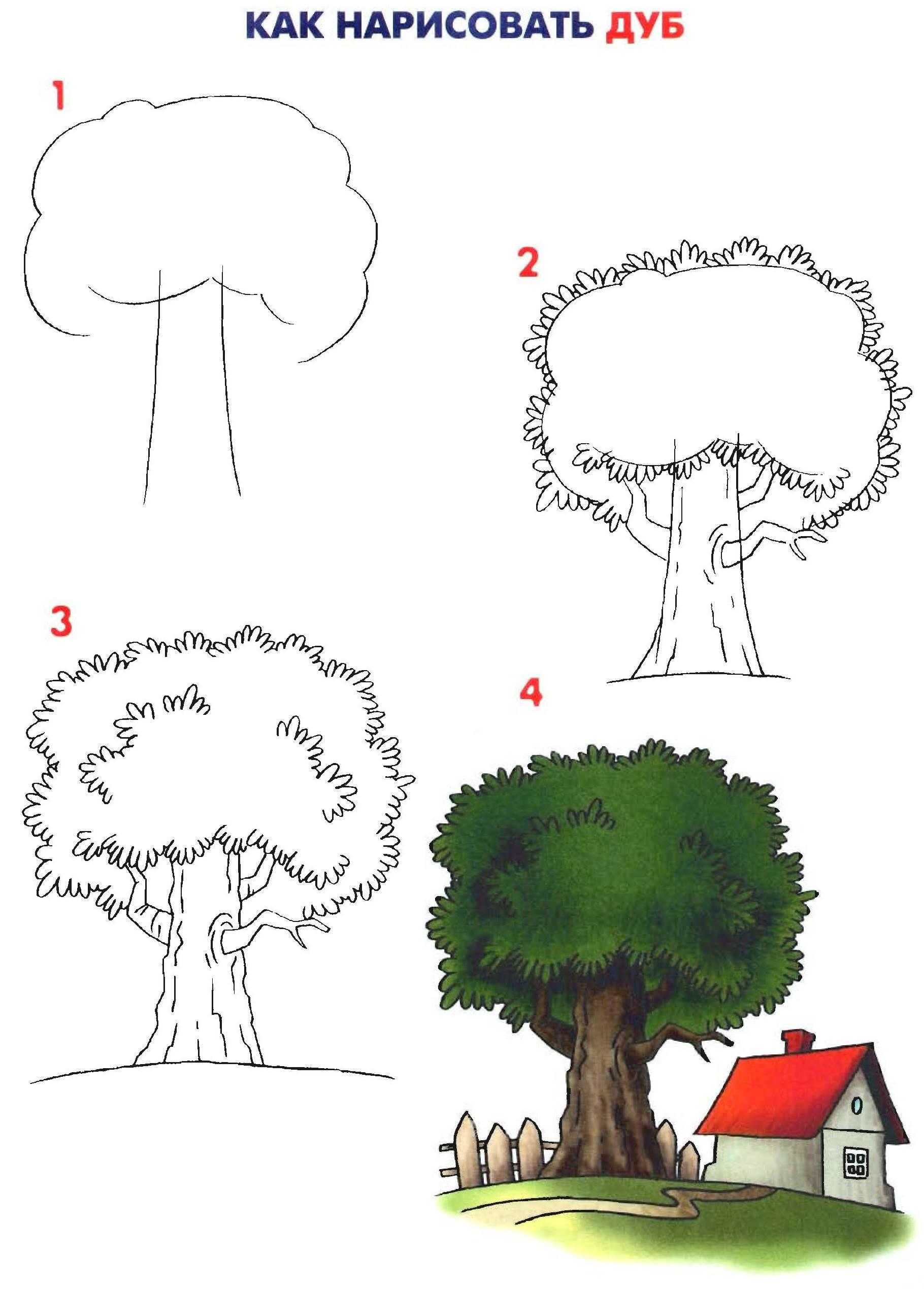 Как рисовать дерево. Поэтапное рисование дерева. Рисование деревьев для дошкольников. Поэтапное рисование дерева для детей. Схема рисования дерева для детей.