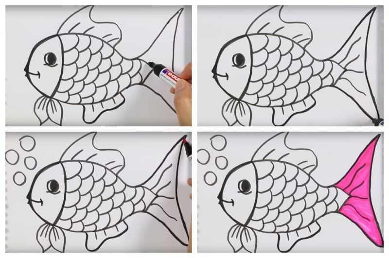 Как нарисовать морских обитателей поэтапно карандашом. топ вариантов для начинающих