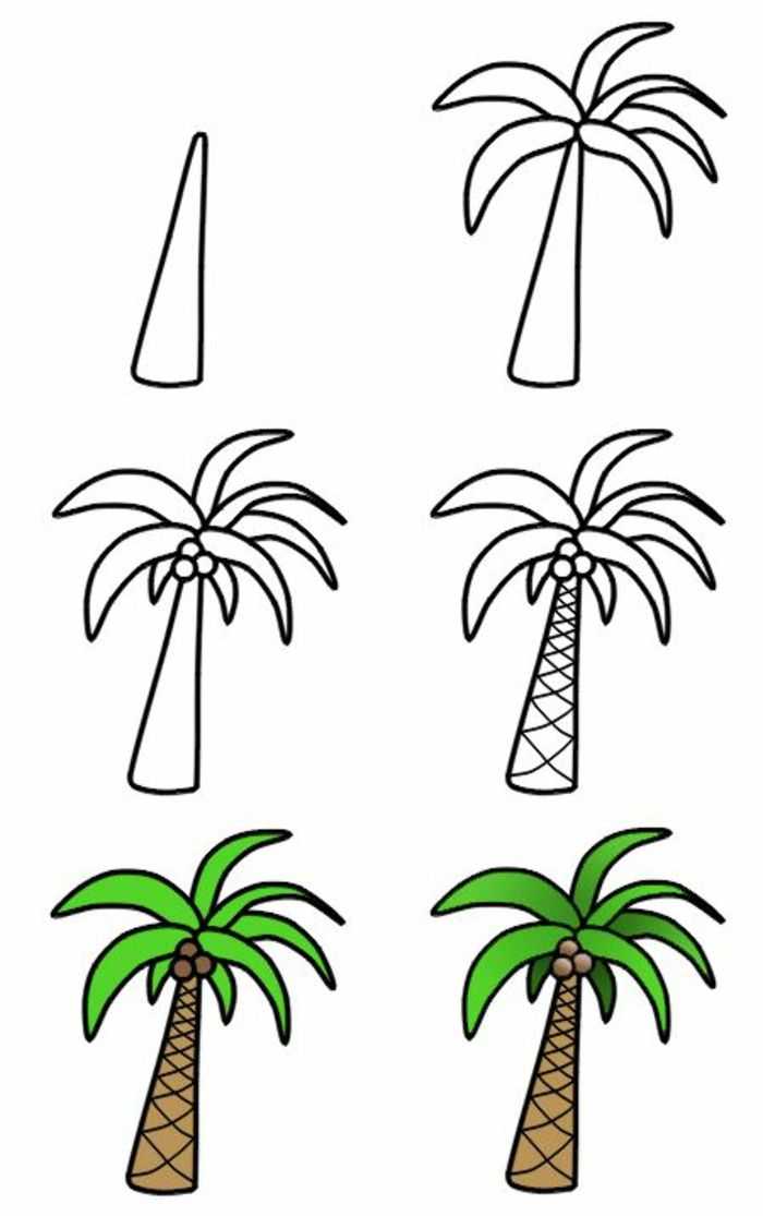 Как нарисовать пальму, как рисовать пальму и рисунок для ребенка поэтапно, как нарисовать пальму и остров
